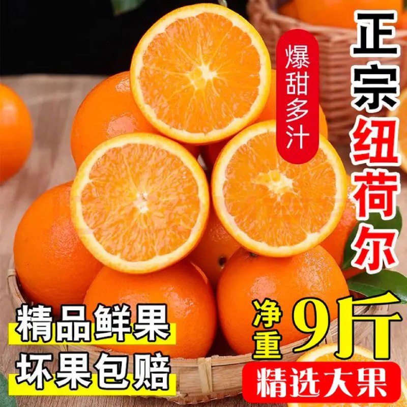 脐橙10斤15元/箱，速度撸，一号一单！ 16-5